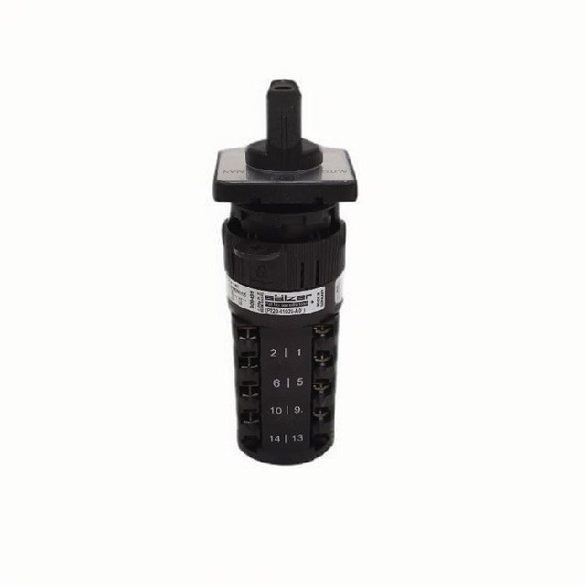 德國Salzer 旋轉凸輪開關 P220-61028-A01